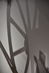 Shadow on wall